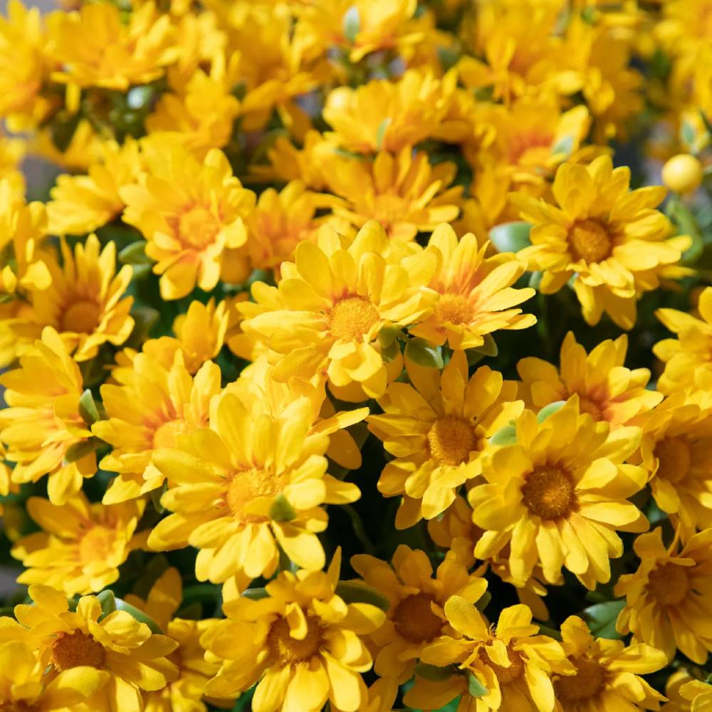 Artificial Outdoor Sunset Mums Flowers - UV resistant, Waterproof, Windproof
