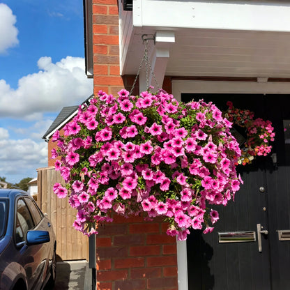 🔥BUY 1 GET 1 FREE (2 PCS)🔥UV Resistant Artificial Petunias Flowers