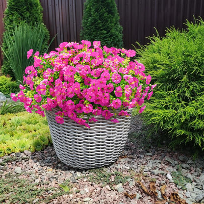 🔥BUY 1 GET 1 FREE (2 PCS)🔥UV Resistant Artificial Petunias Flowers
