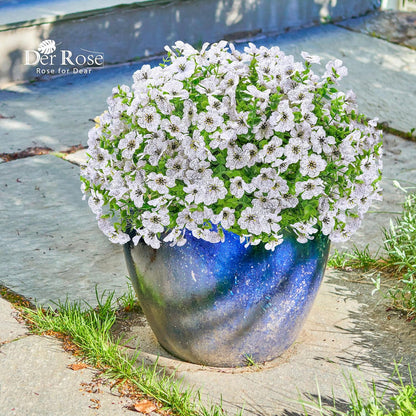Der Rose 12 Bundles Artificial Flowers for Outdoors Fake Flowers Plants Spring Summer Decoration UV Resistant for Outside Home Porch Patio Garden Decor White